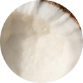 Coconut Oil