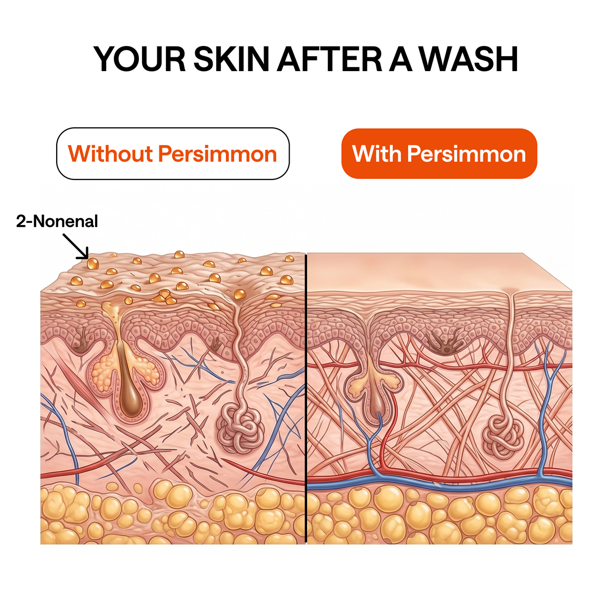 Regular Soap Glides Right Over It. Persimmon Tannin Dissolves It.