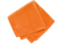 + FREE Dry Cloth