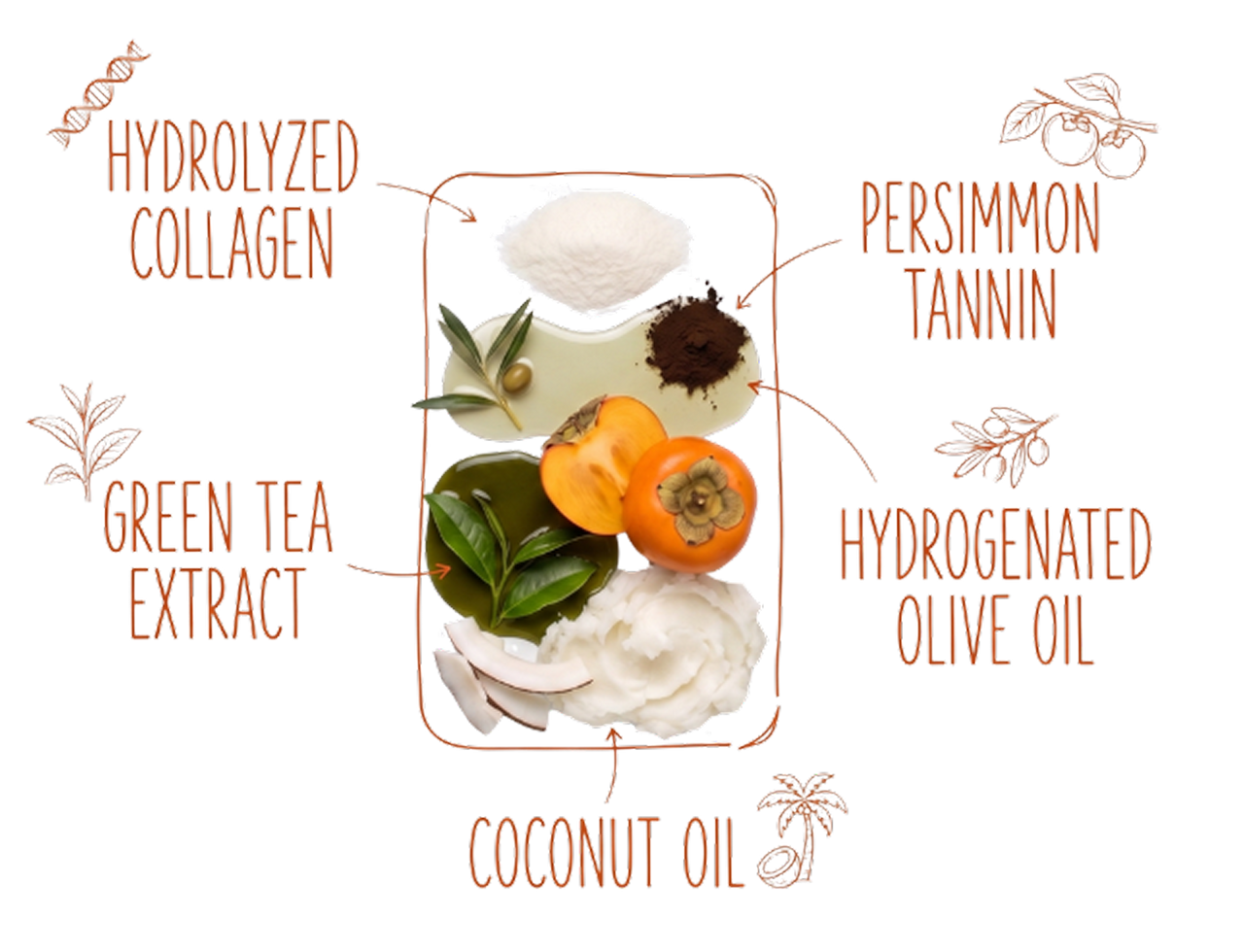5 Core Ingredients To Leave Your Skin Smelling Fresh and Feeling Lavished