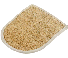 Loofah